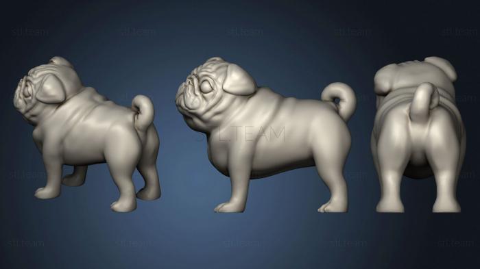 3D model Pack Pug (STL)